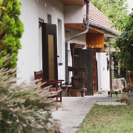 Ferienhaus Heiling Villa อิลมิทซ์ ภายนอก รูปภาพ